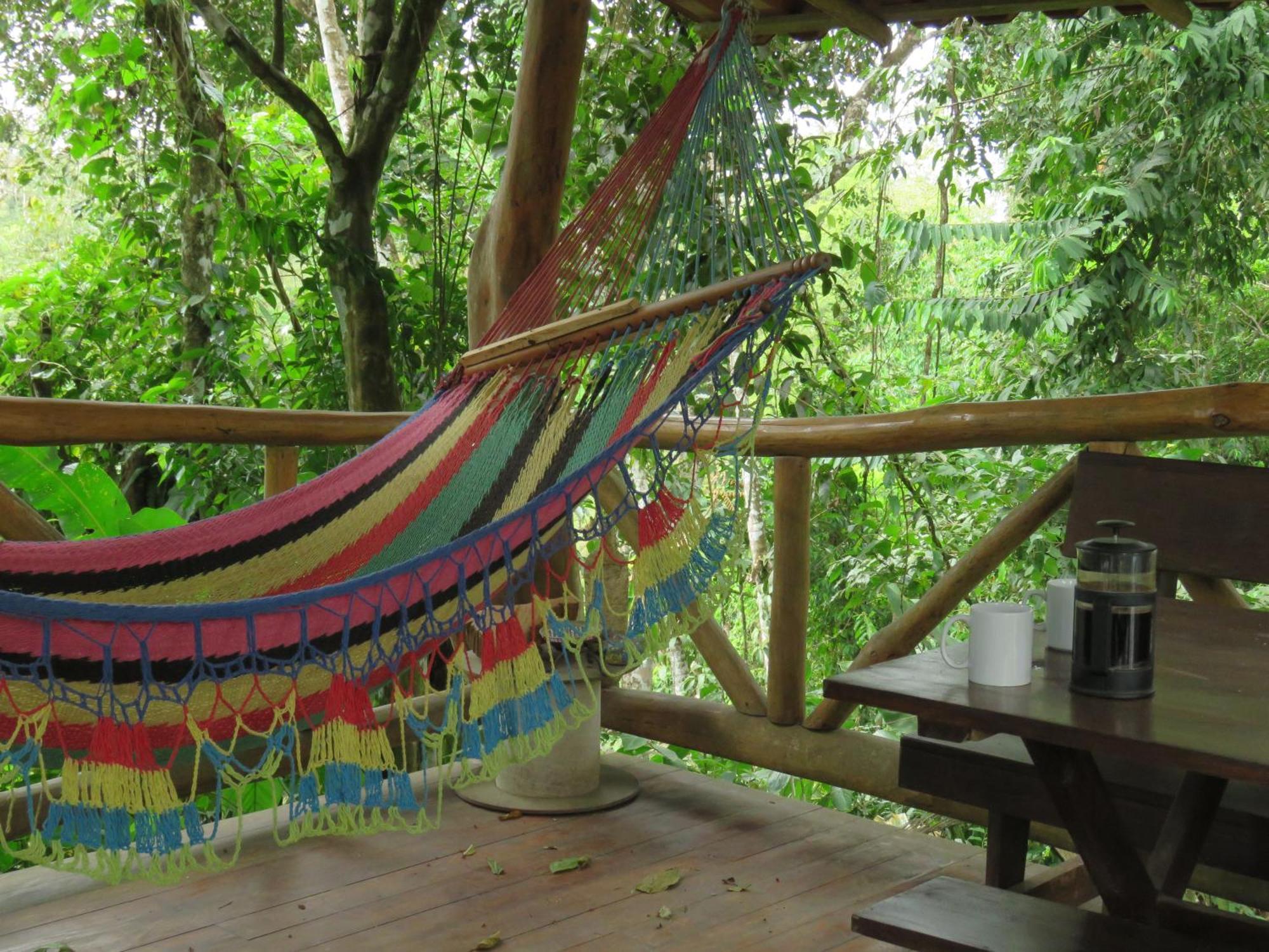 Vocare Finca Agroecologica Upala Exterior photo